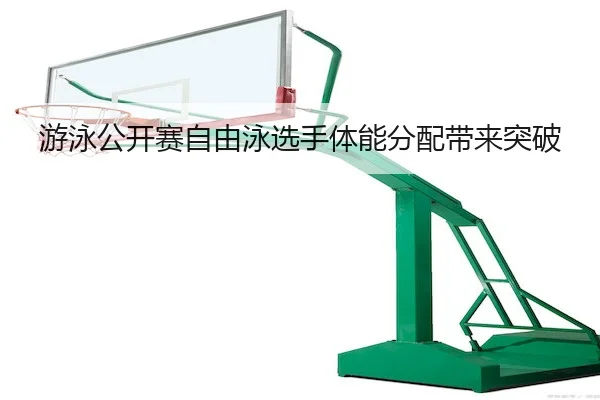 you-yong-gong-kai-sai-zi-you-yong-xuan-shou-ti-neng-fen-pei-dai-lai-tu-po-2-154.jpg